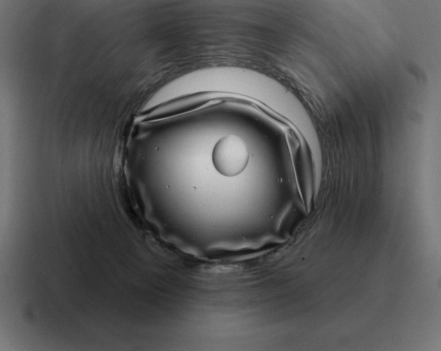 X0000116810129200912312003