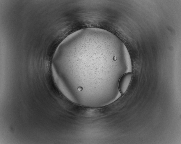 X0000116810130200912312003