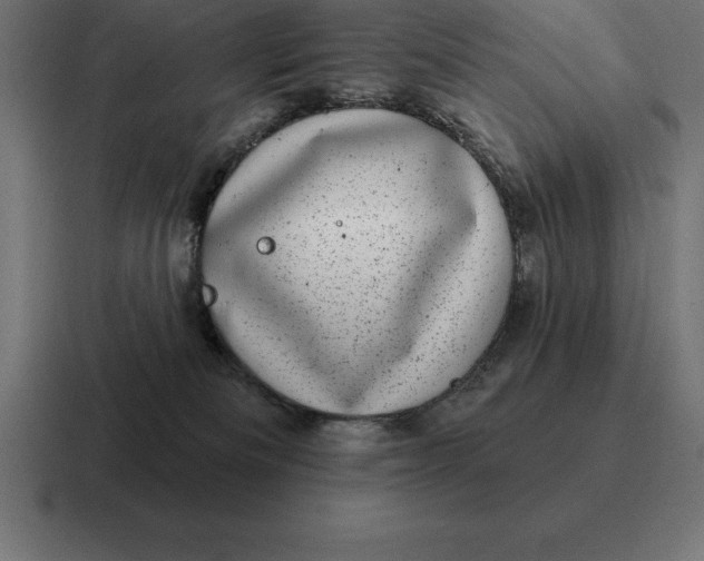 X0000116810133200912312003