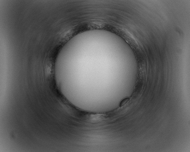 X0000116810134200912312003