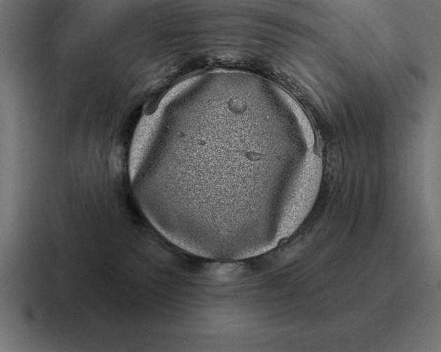 X0000116810135200912312003