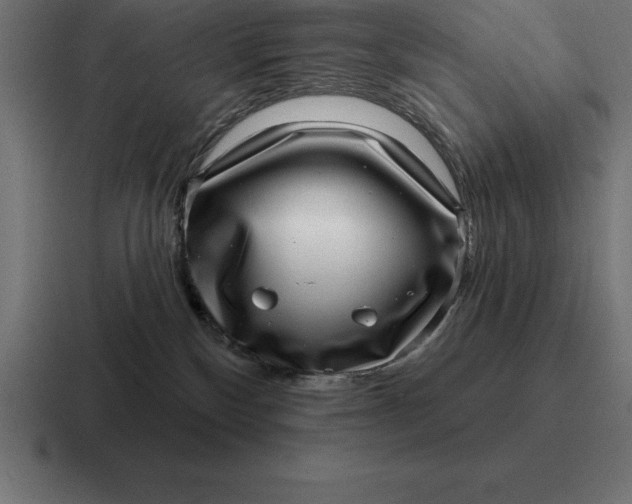 X0000116810136200912312003