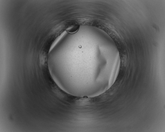 X0000116810138200912312003