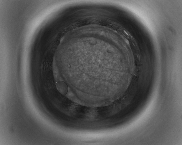 X0000116810143200912312003