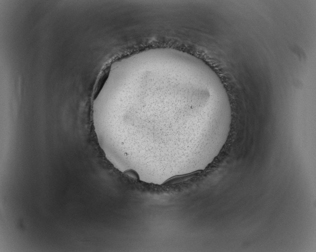 X0000116810144200912312003