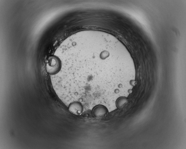 X0000116810146200912312002