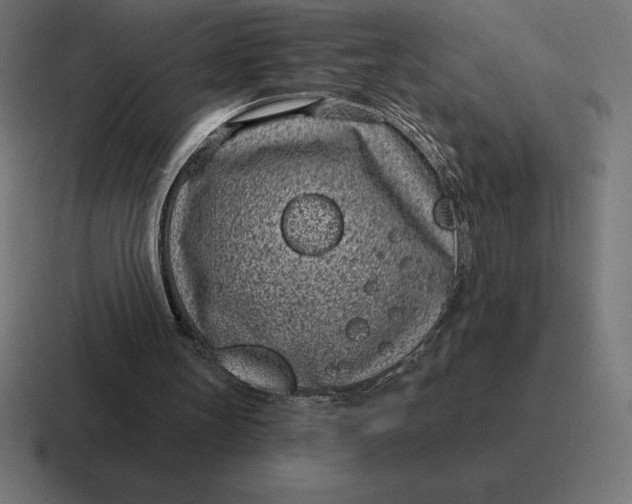 X0000116810147200912312002