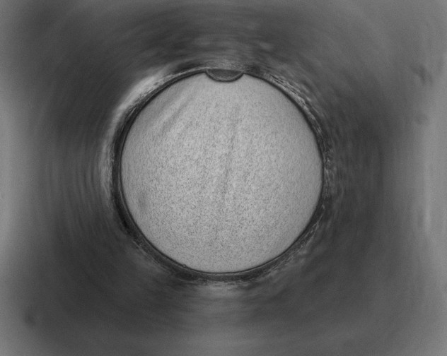 X0000116810149200912312002