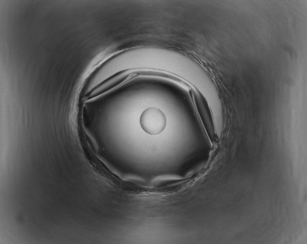 X0000116810150200912312002