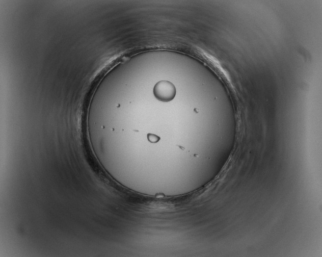 X0000116810154200912312002