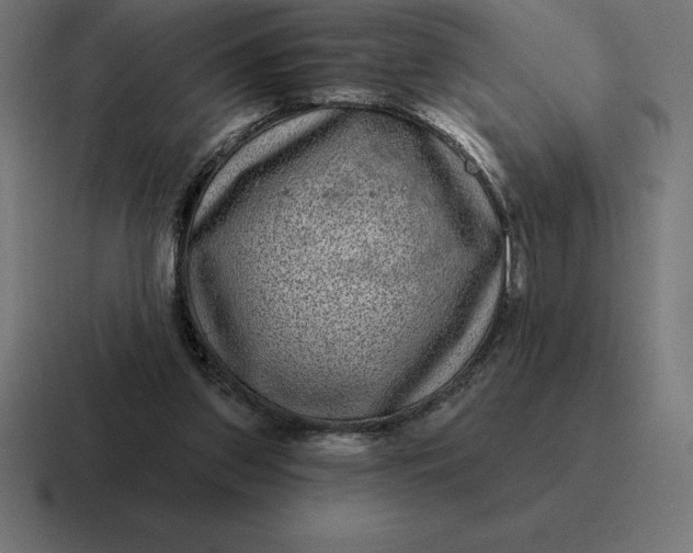 X0000116810157200912312002