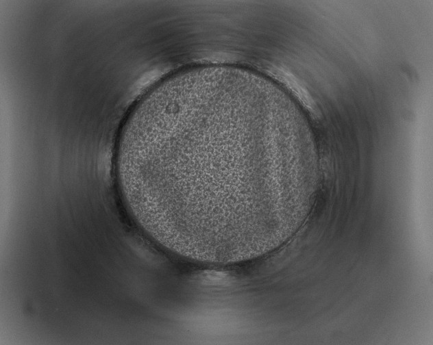 X0000116810159200912312002