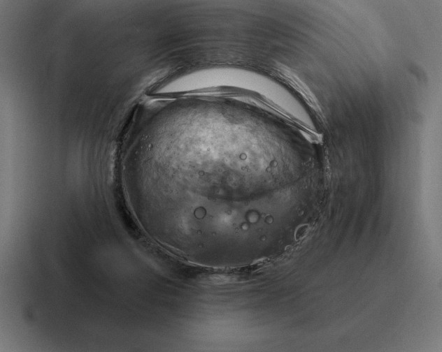 X0000116810163200912312002