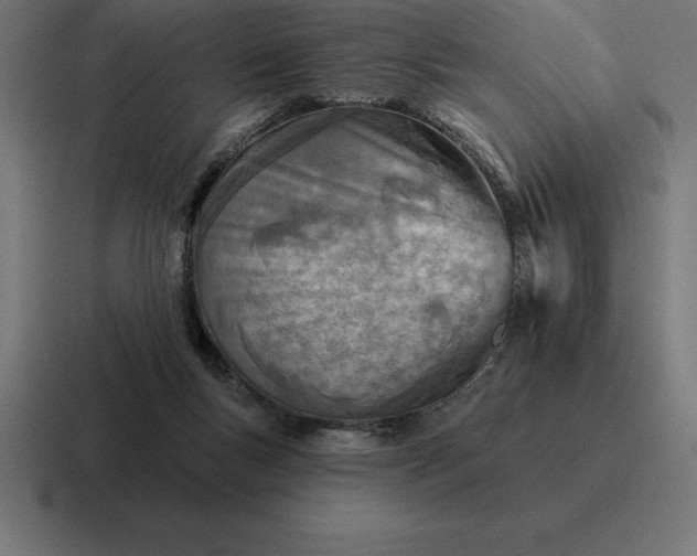 X0000116810167200912312003