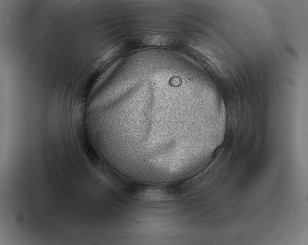 X0000116810171200912312003