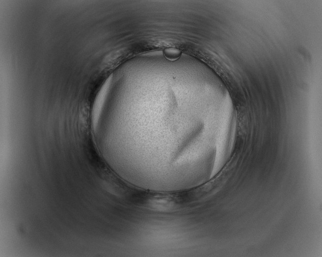 X0000116810175200912312003