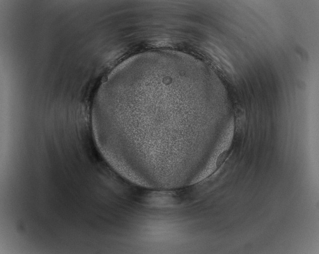 X0000116810179200912312003