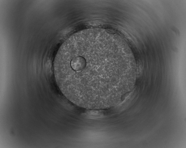 X0000116810187200912312003