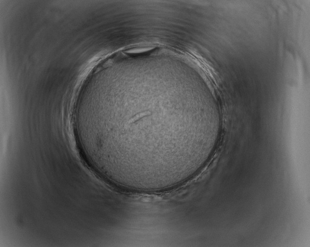 X0000116810193200912312002