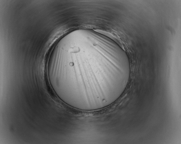 X0000116810194200912312002