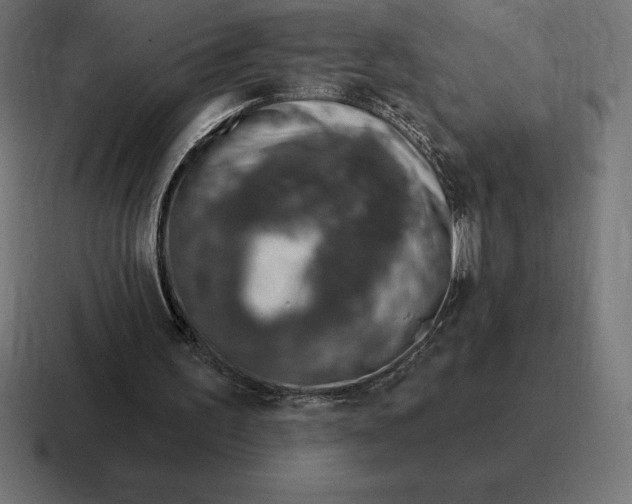 X0000116810195200912312002