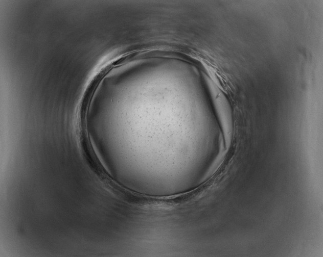 X0000116810198200912312002