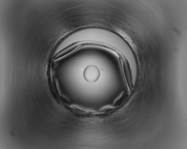 X0000116810201200912312002