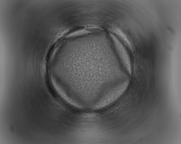 X0000116810202200912312002