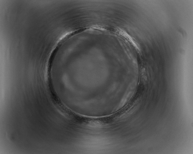 X0000116810203200912312002