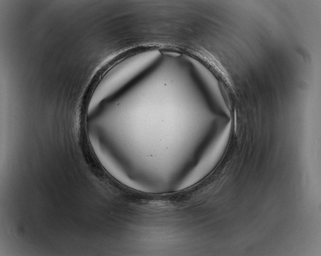 X0000116810204200912312002