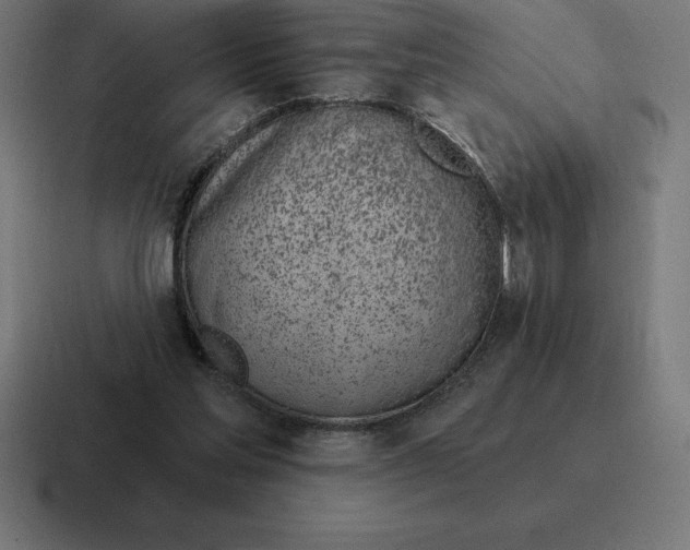 X0000116810205200912312002