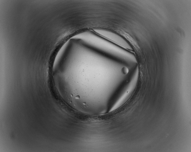 X0000116810207200912312002