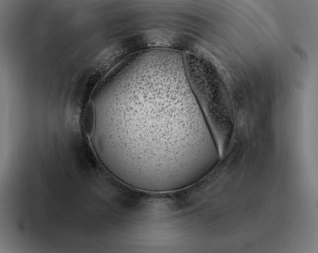 X0000116810209200912312002