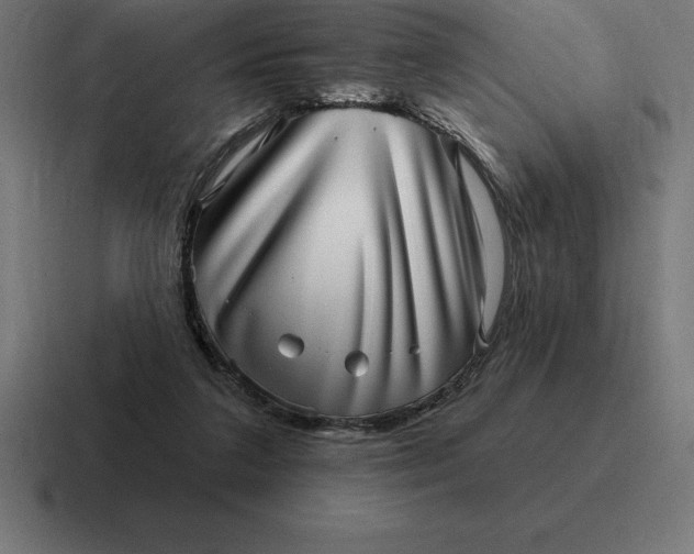 X0000116810211200912312002