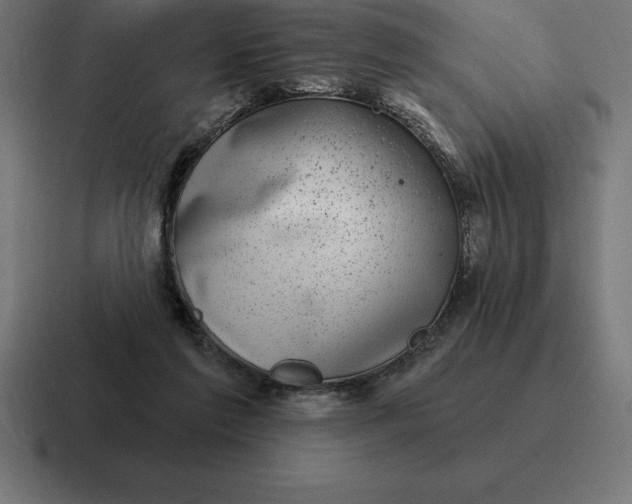 X0000116810213200912312002