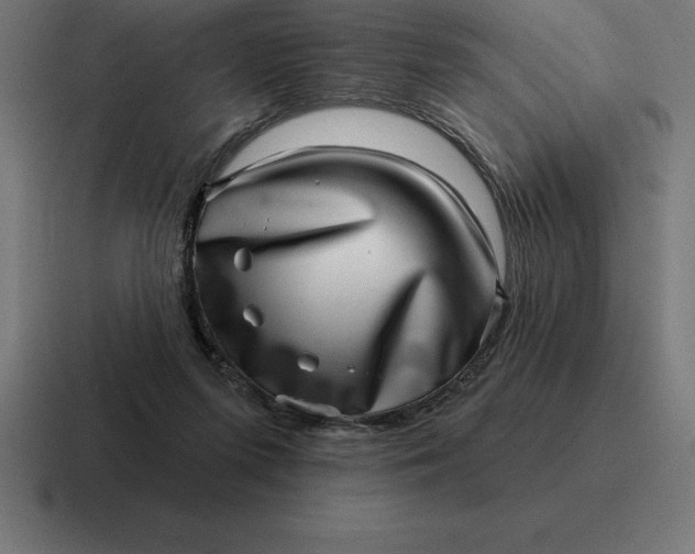 X0000116810215200912312002