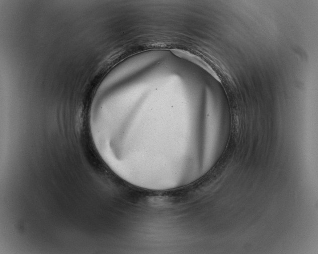 X0000116810216200912312002