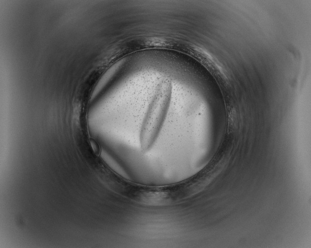 X0000116810217200912312002