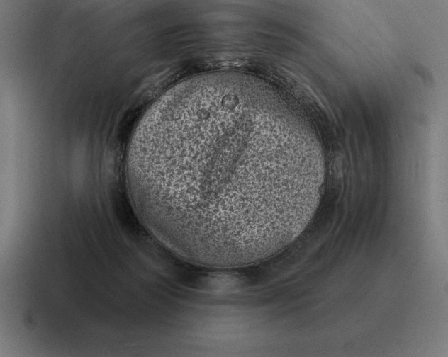 X0000116810218200912312002