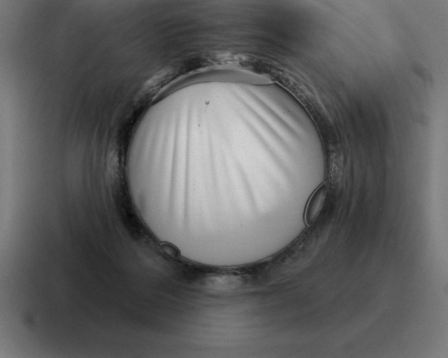 X0000116810220200912312002