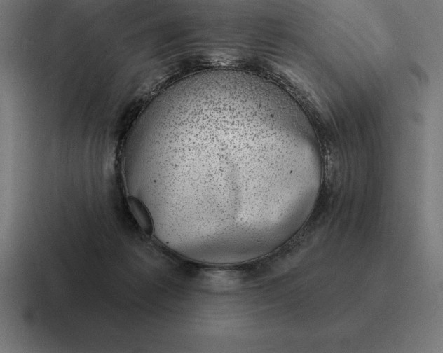 X0000116810221200912312002