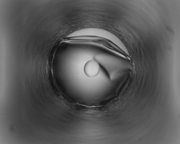 X0000116810223200912312002