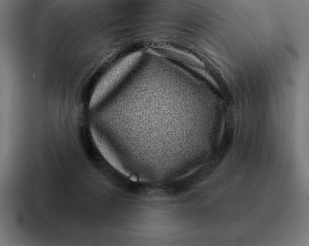 X0000116810224200912312002