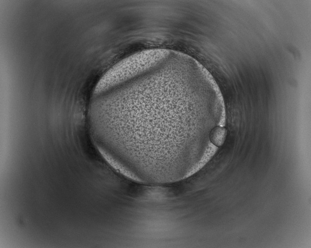 X0000116810226200912312002