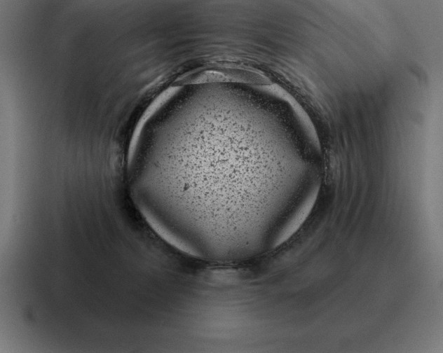 X0000116810228200912312002