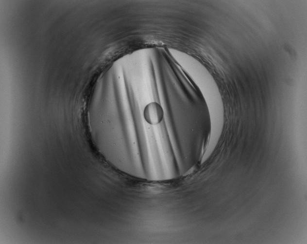 X0000116810229200912312002