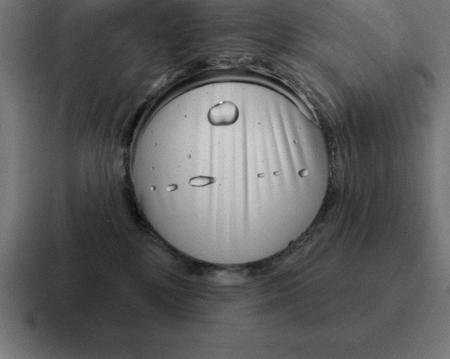 X0000116810232200912312002