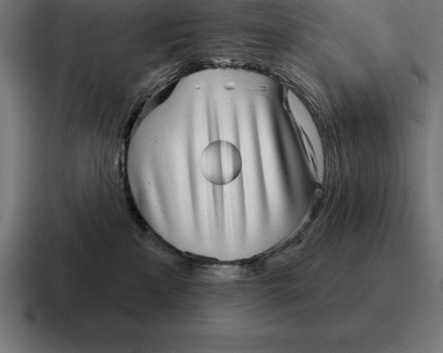 X0000116810233200912312002