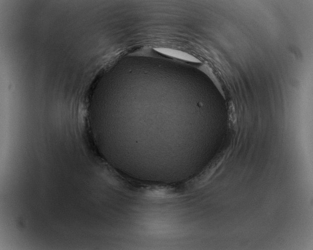 X0000116810235200912312002