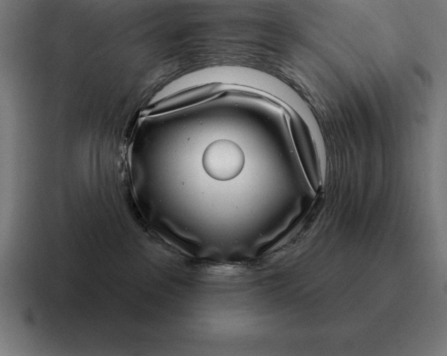 X0000116810237200912312002